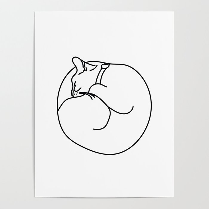 700x700 Sleeping Cat Poster - Sleeping Cat Line Drawing