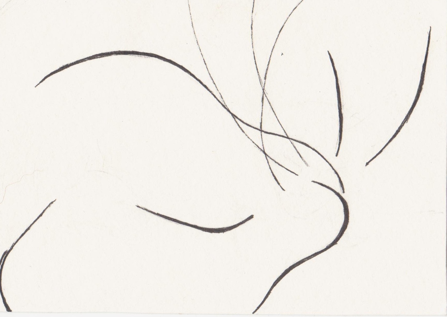 1737x1231 Line Drawing Karen Bailey Studio - Sleeping Cat Line Drawing