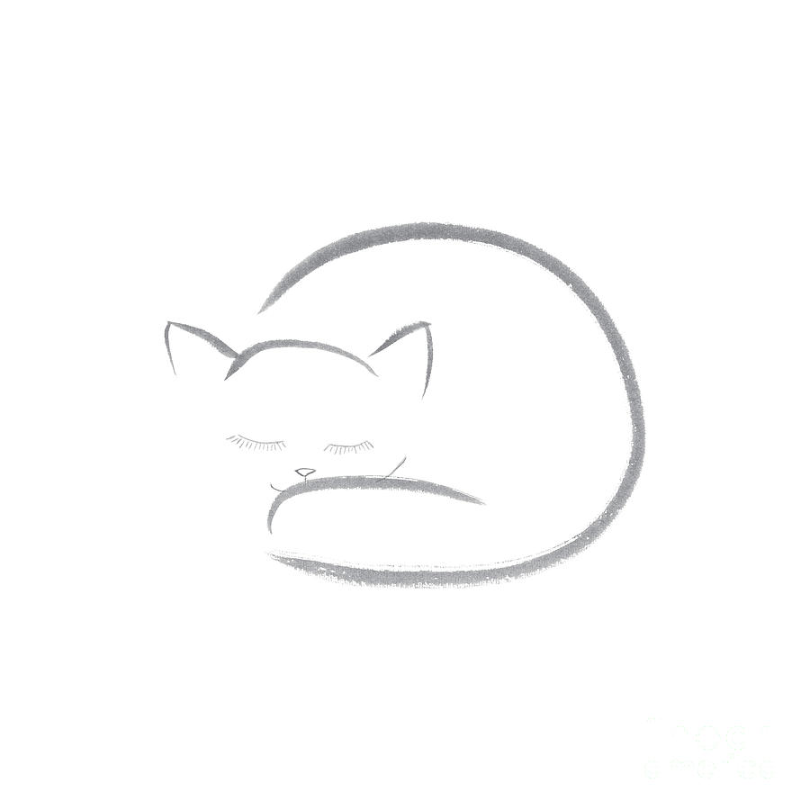 Sleeping Cat Line Drawing at PaintingValley.com | Explore collection of ...