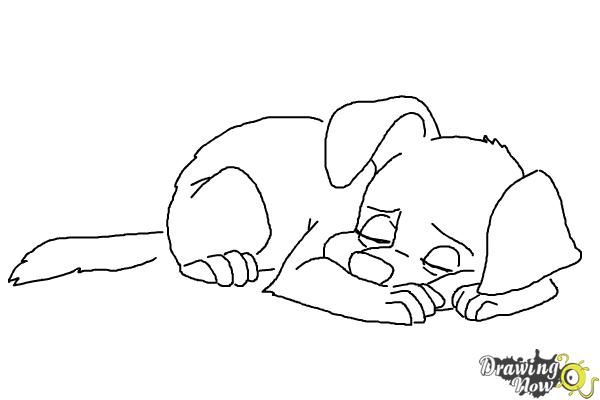 600x400 How To Draw A Sleeping Dog - Sleeping Dog Drawing