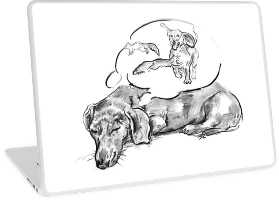 558x400 Sleeping Dog - Sleeping Dog Drawing
