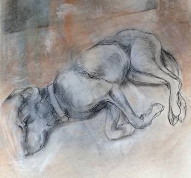 375x350 Sleeping Dog Drawing Drawing - Sleeping Dog Drawing