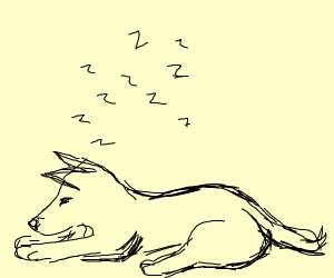 300x250 Sleeping Dog Drawing - Sleeping Dog Drawing