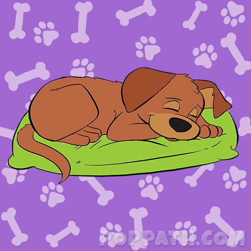 512x512 How To Draw A Sleeping Dog Pop Path - Sleeping Dog Drawing