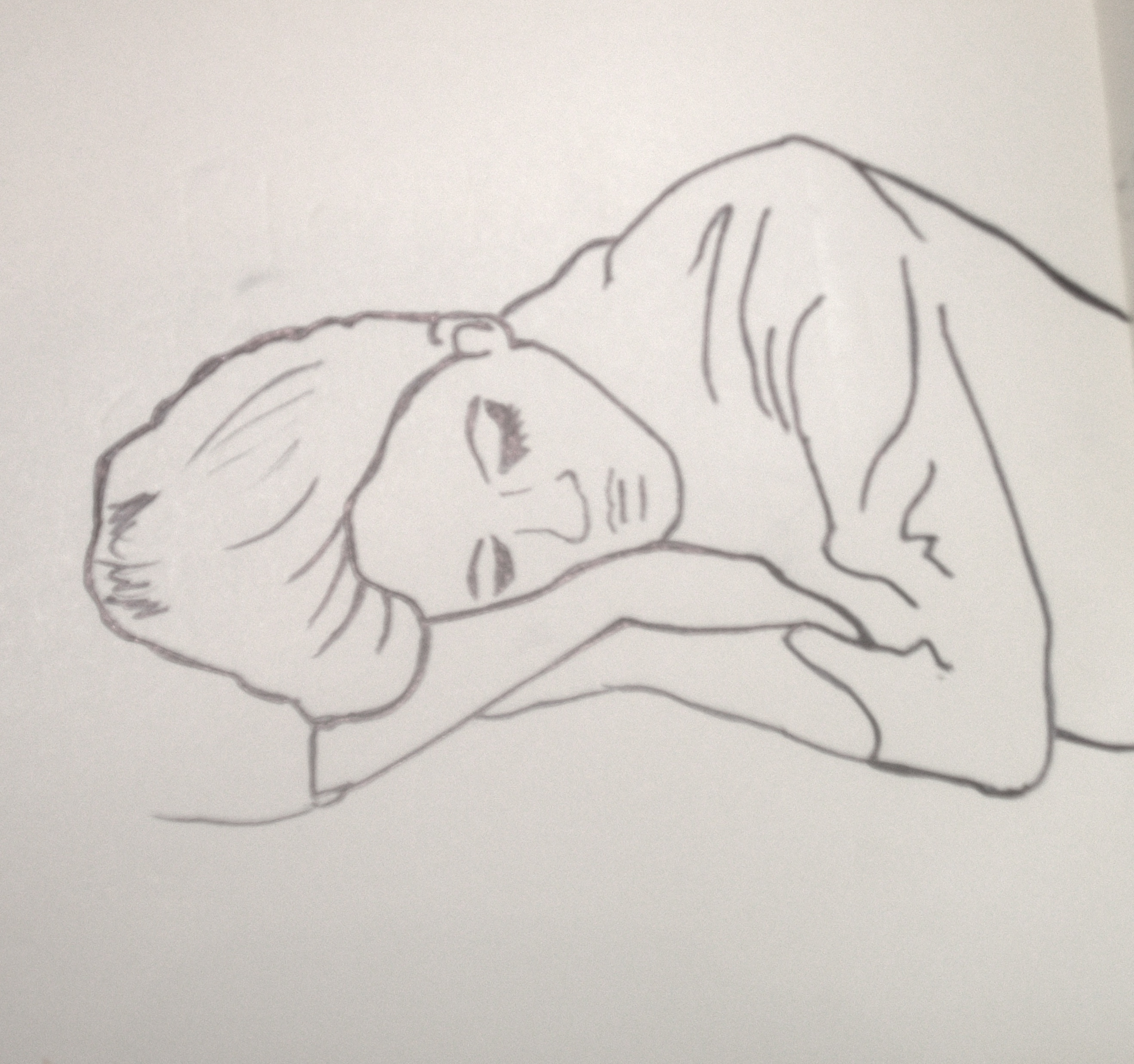 2636x2473 Drawing Of Sleeping Girl Thecarpetbaggernyc - Sleeping Drawing