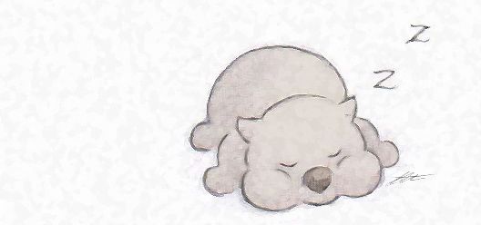 528x248 Lil Wombat Sleeping Drawing Cute Simle Easy Art - Sleeping Drawing