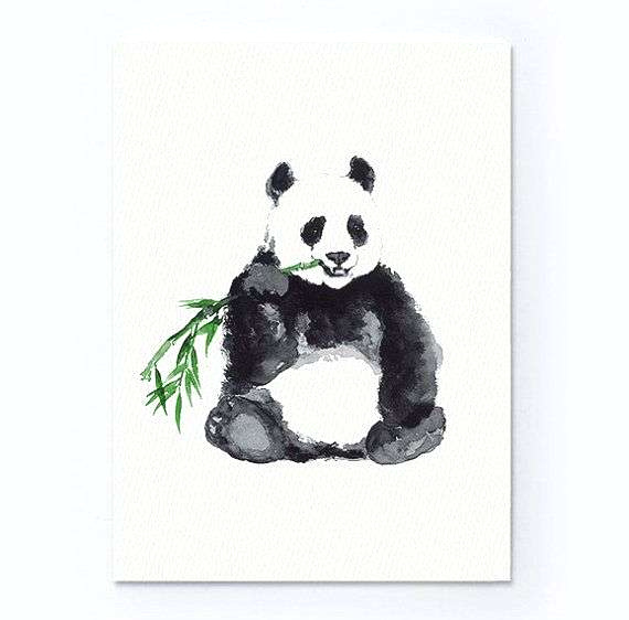 570x562 Easy To Draw Panda Bear Giant Panda Bear Sleeping In Tree - Sleeping Drawing Easy