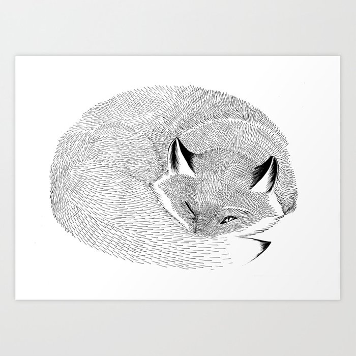 700x700 Sleeping Fox Art Print - Sleeping Fox Drawing