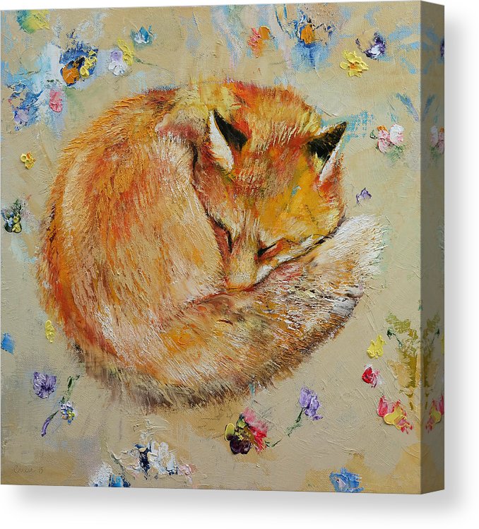 678x749 Sleeping Fox Canvas Print Canvas Art - Sleeping Fox Drawing