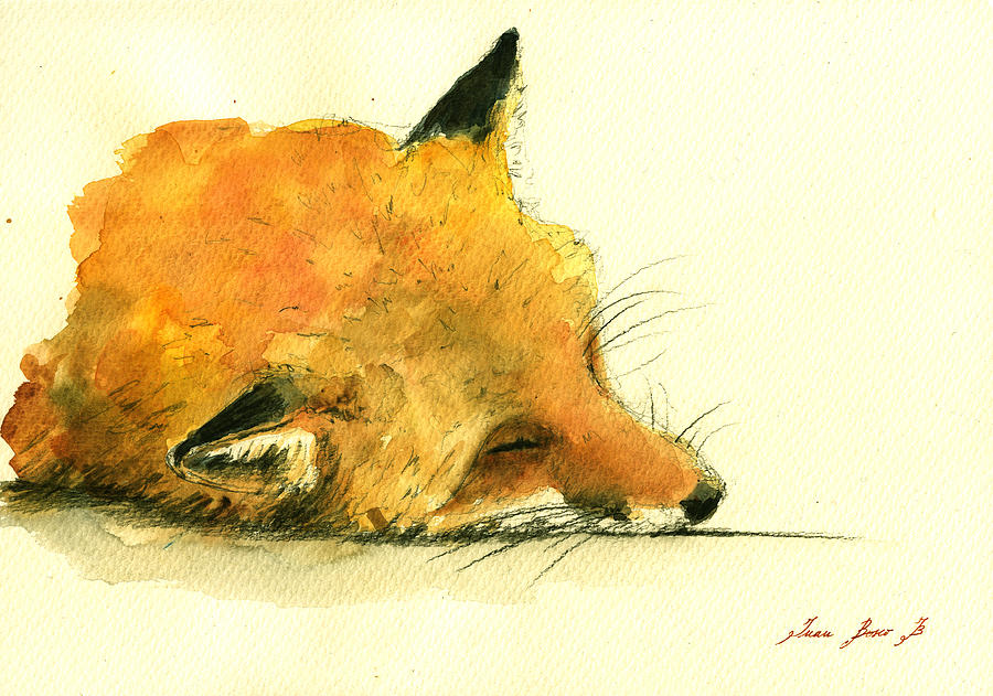 900x631 Sleeping Fox Painting - Sleeping Fox Drawing