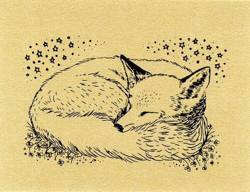 500x384 Sleeping Fox Drawing Art Drawings In Art, Fox Art - Sleeping Fox Drawing
