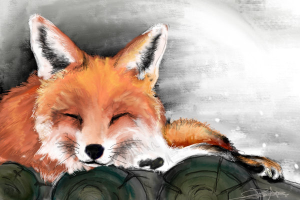 600x400 Sleeping Fox An Animals Speedpaint Drawing - Sleeping Fox Drawing