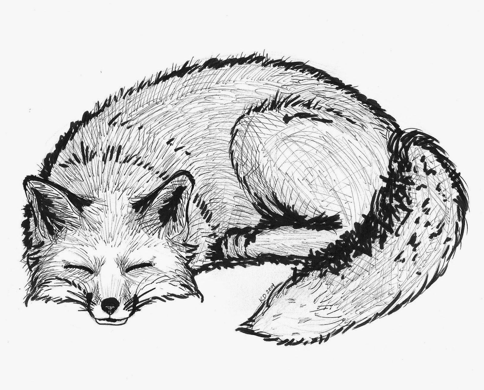 Sleeping Fox Drawing at Explore collection of