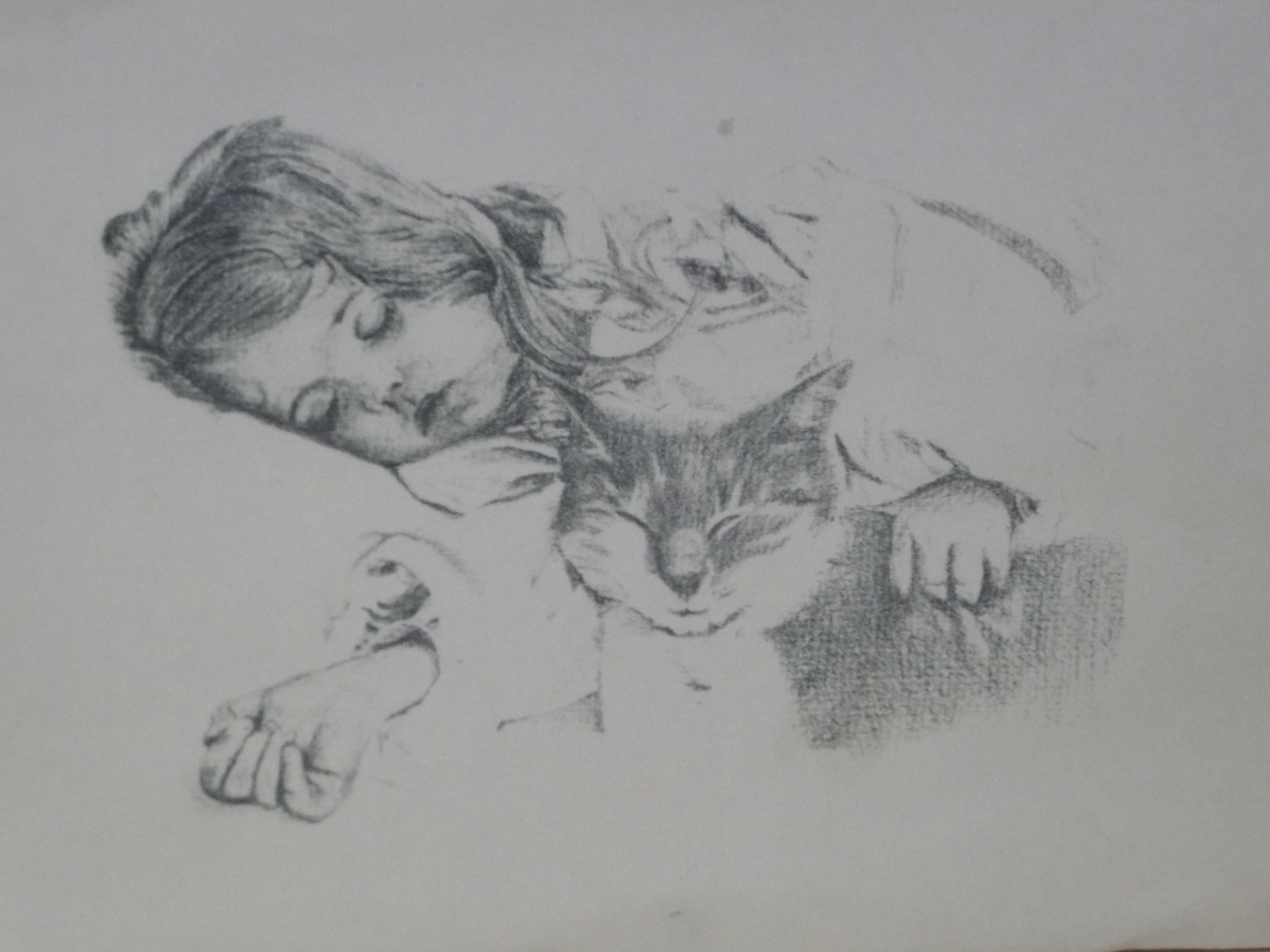 3072x2304 Sleeping Girl With Cat Pencil Drawing - Sleeping Girl Drawing