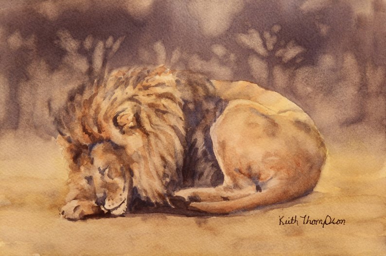 794x527 Sleeping Lion Etsy - Sleeping Lion Drawing