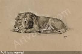 272x179 Sleeping Lion Drawing - Sleeping Lion Drawing