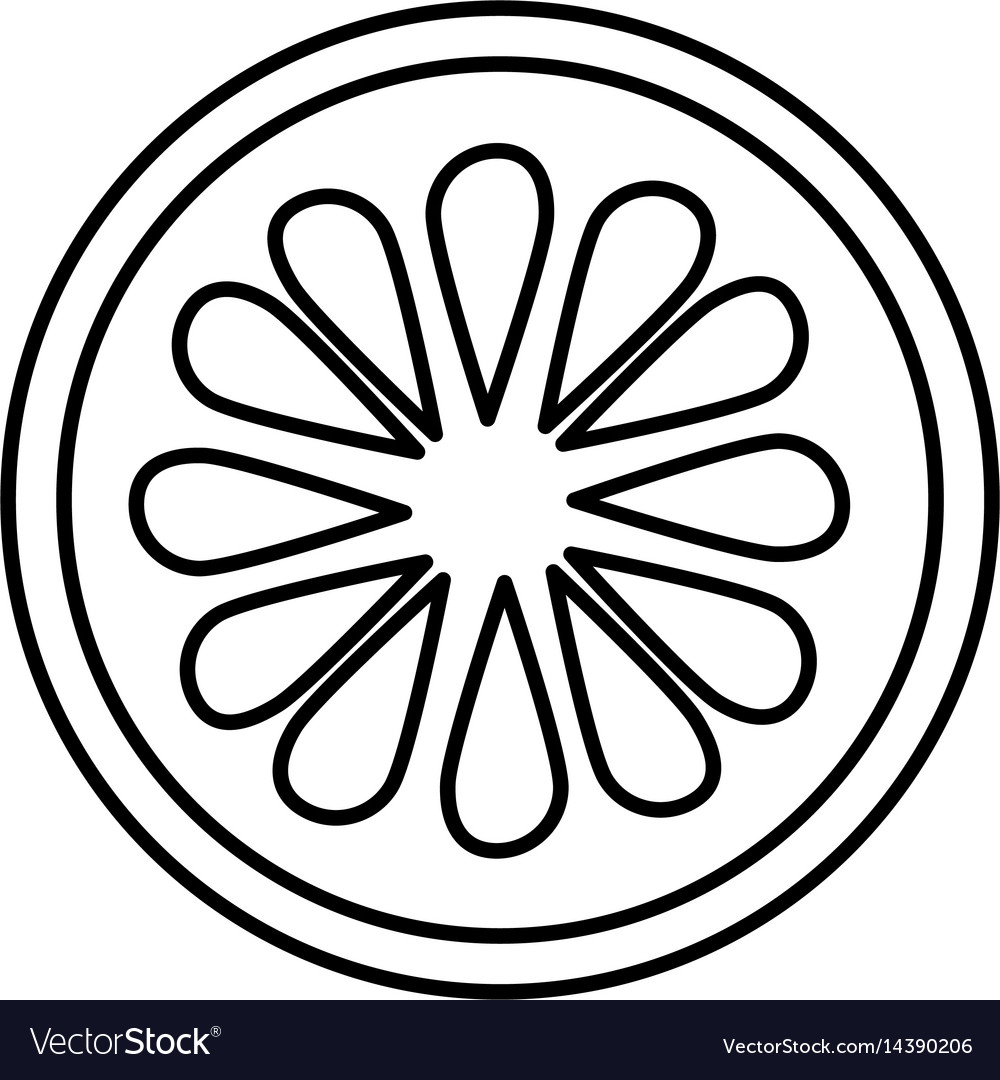 1000x1080 huge collection of 'cucumber slice drawing' download more than - Slice Drawing