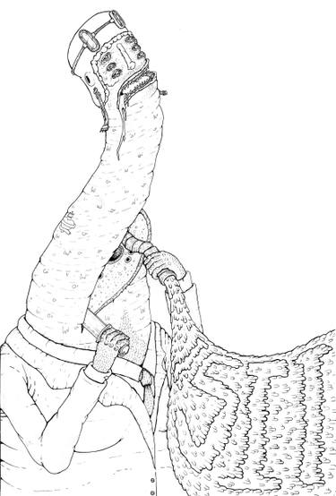 375x554 maggot slice drawing - Slice Drawing