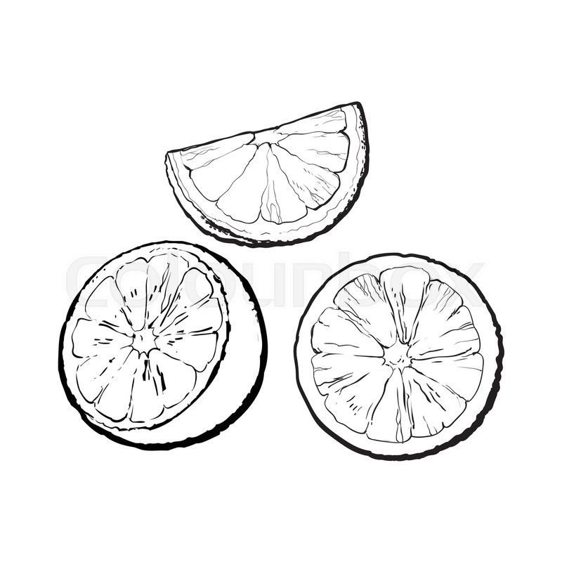 800x800 Set Of Realistic Colorful Hand Drawn Stock Vector Colourbox - Slice Drawing