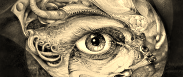 617x260 Drawings Slide Show - Slide Drawing