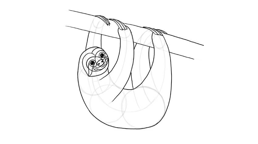 850x476 how to draw a sloth step - Sloth Drawing