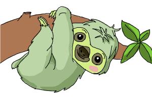 300x200 How To Draw A Sloth - Sloth Drawing Easy