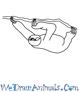 300x350 How To Draw A Sloth - Sloth Drawing Easy