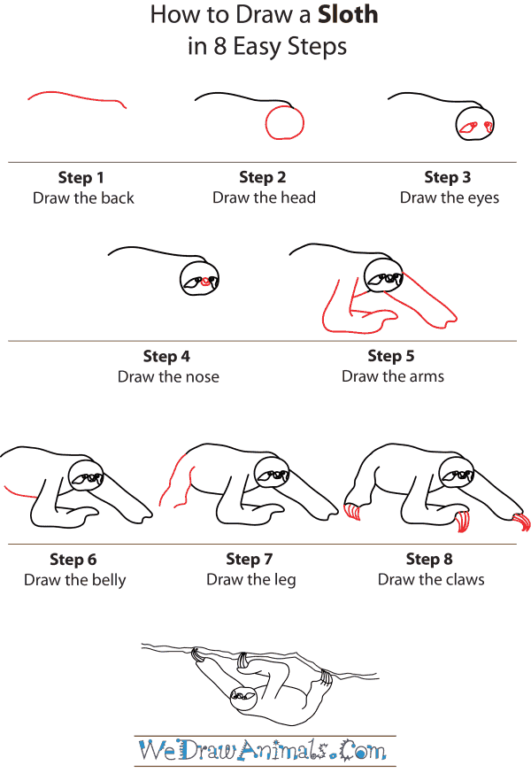 600x882 how to draw a sloth - Sloth Face Drawing