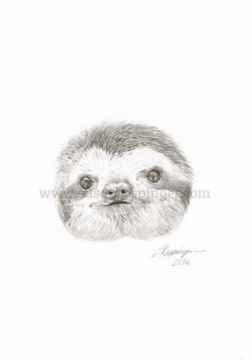 356x509 little sloth head print - Sloth Face Drawing