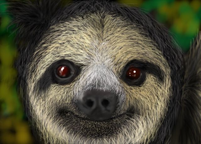 640x460 sloth face sloth face - Sloth Face Drawing