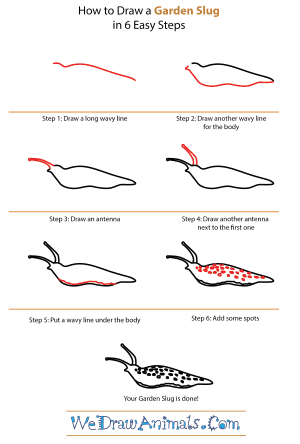 600x888 how to draw a garden slug - Slug Drawing