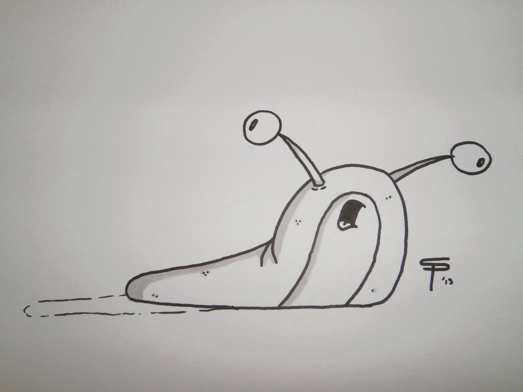 1024x768 image result for slug drawing easy funny memes easy drawings - Slug Drawing