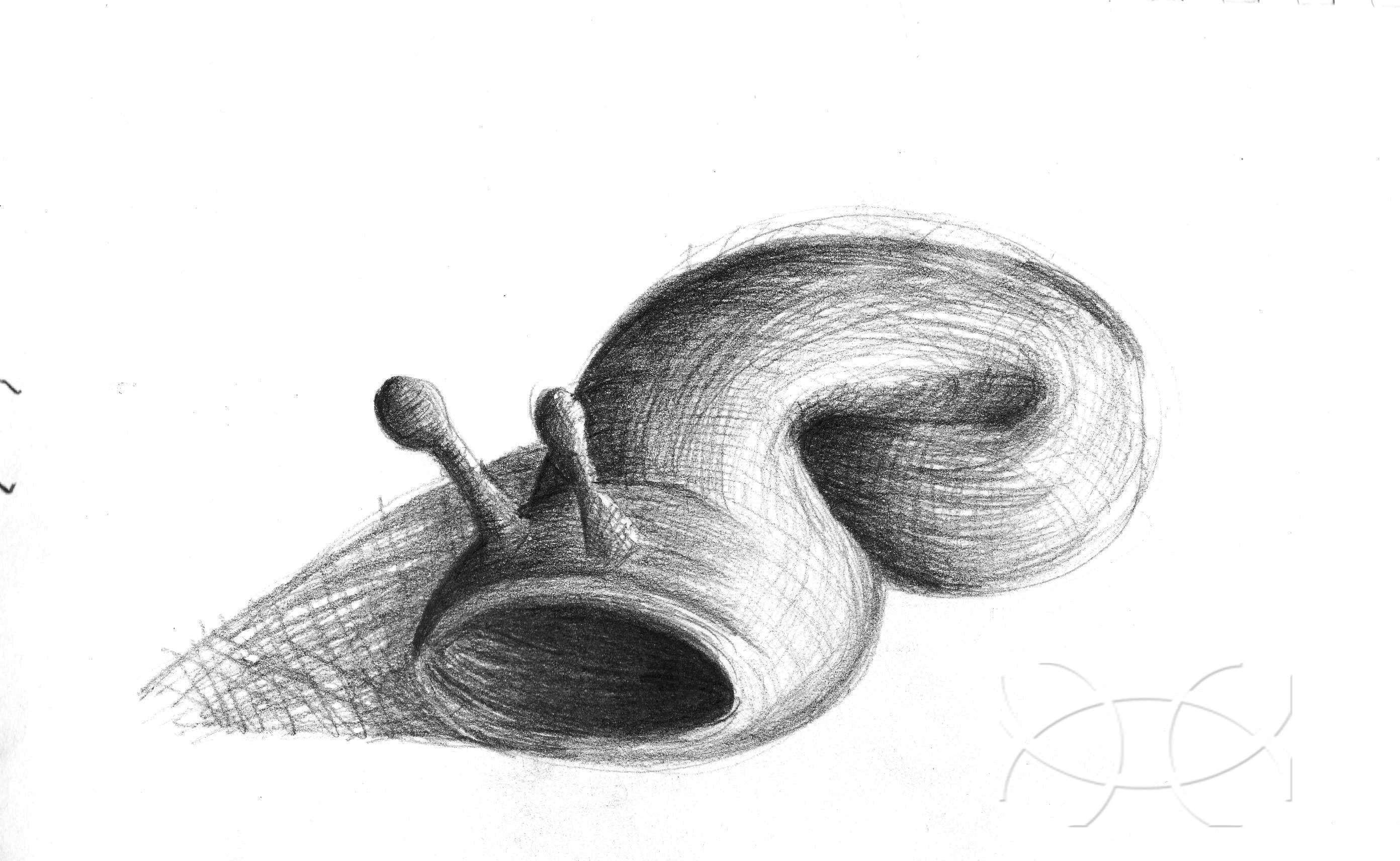 2784x1712 slug hole ham eye am - Slug Drawing
