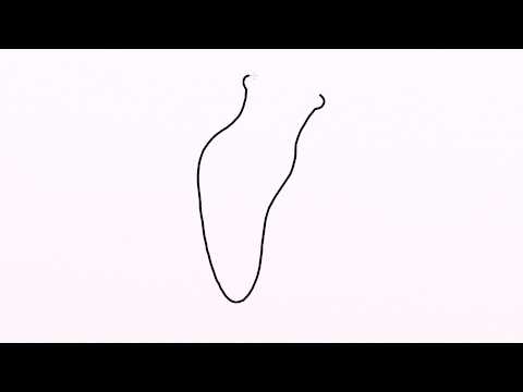 480x360 how to draw slug easy drawing for kids step - Slug Drawing