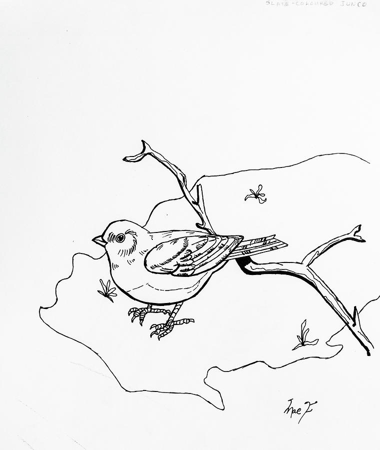 761x900 Small Bird Drawing - Small Bird Drawing