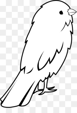 260x380 Small Bird Png - Small Bird Drawing