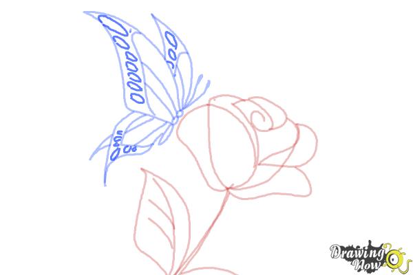 600x400 How To Draw A Butterfly On A Flower - Small Butterfly Drawing