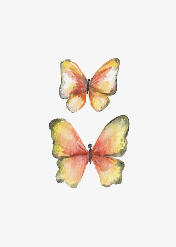 564x790 nabi, hand painted butterfly, drawing butterfly, small butterfly - Small Butterfly Drawing