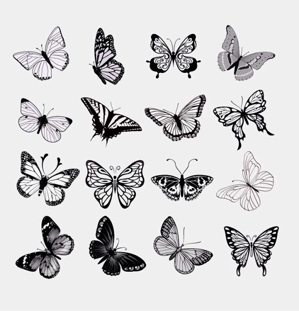 617x640 Butterfly Drawing Free Download - Small Butterfly Drawing