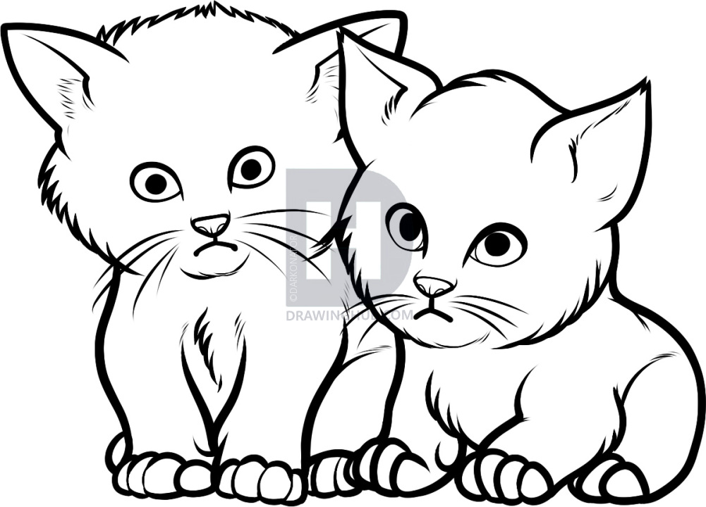 1001x720 how to draw baby kittens, baby kittens, step - Small Cat Drawing