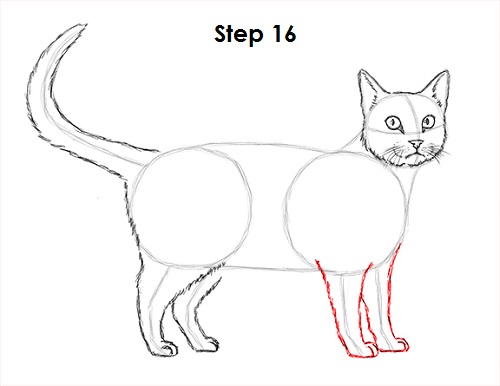 500x386 How To Draw A Cat - Small Cat Drawing