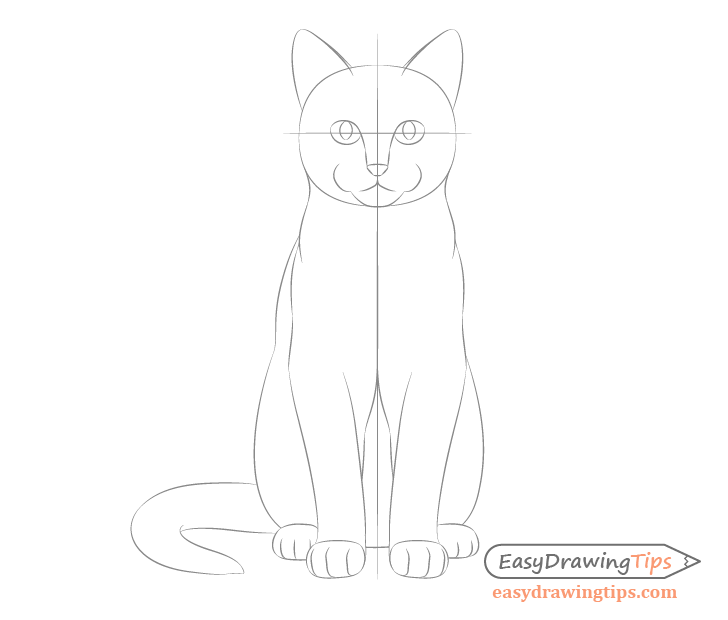 728x620 How To Draw A Sitting Cat Step - Small Cat Drawing