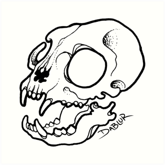 550x550 Small Cat Skull Tattoo Flash Art Prints - Small Cat Drawing