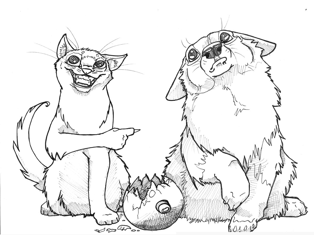 1280x962 Cat Drawings - Small Cat Drawing