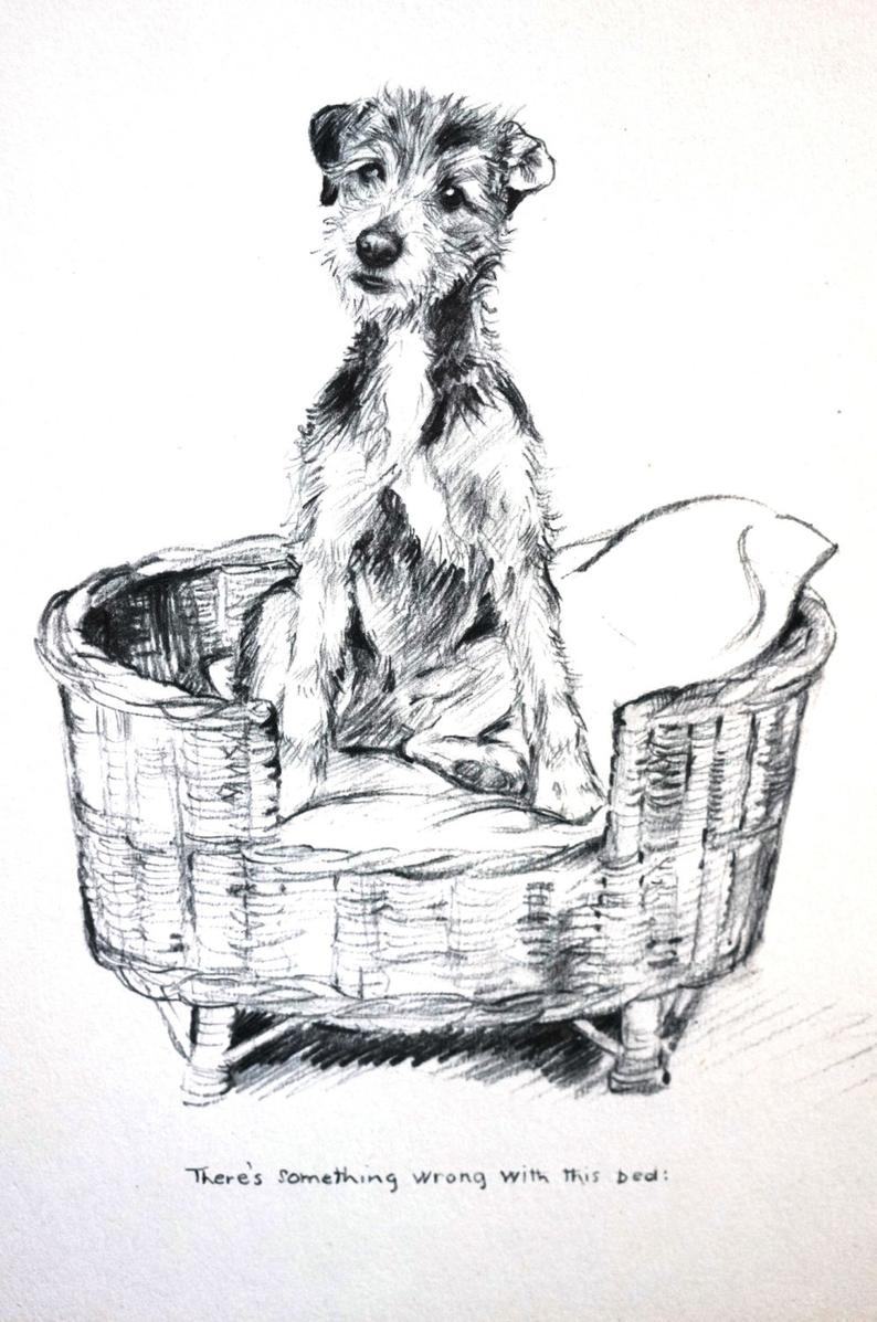794x1197 k f barker fox terrier in small dog bed puzzled etsy - Small Dog Drawing