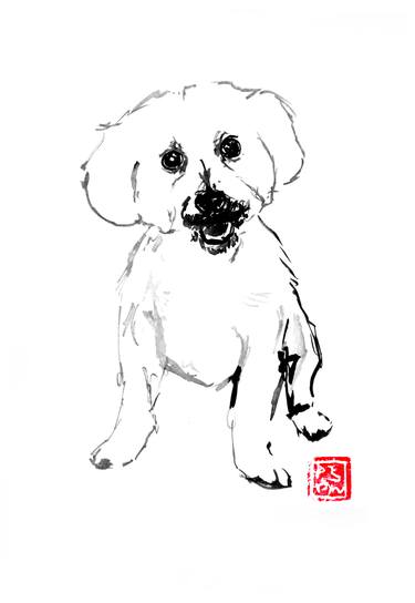 375x544 White Small Dog Drawing - Small Dog Drawing