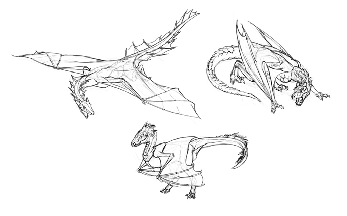 688x429 How To Draw Dragons Step - Small Dragon Drawing