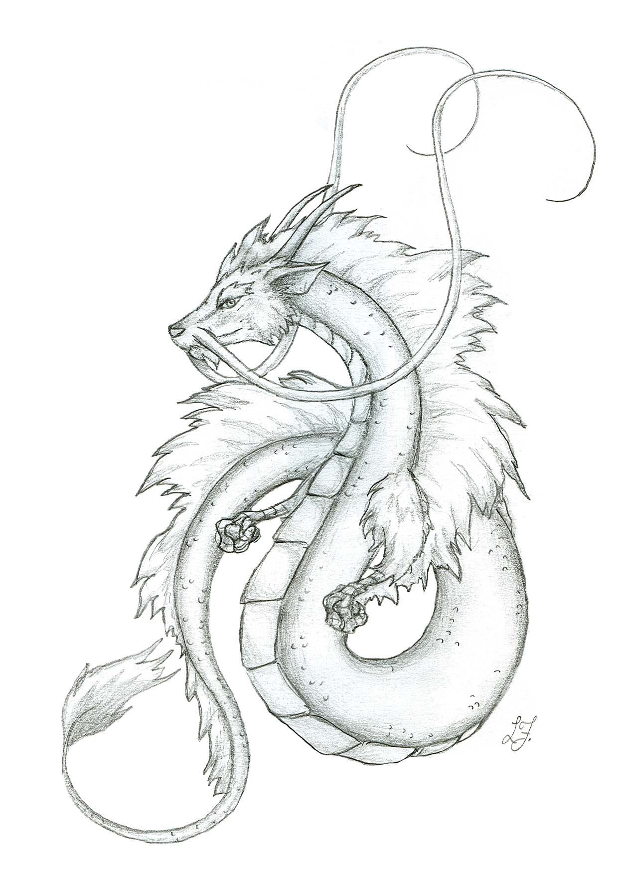 1256x1764 Japanese Dragon Sketches Small Japanese Dragon - Small Dragon Drawing