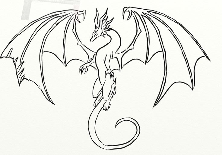 Small Dragon Drawing at Explore collection of