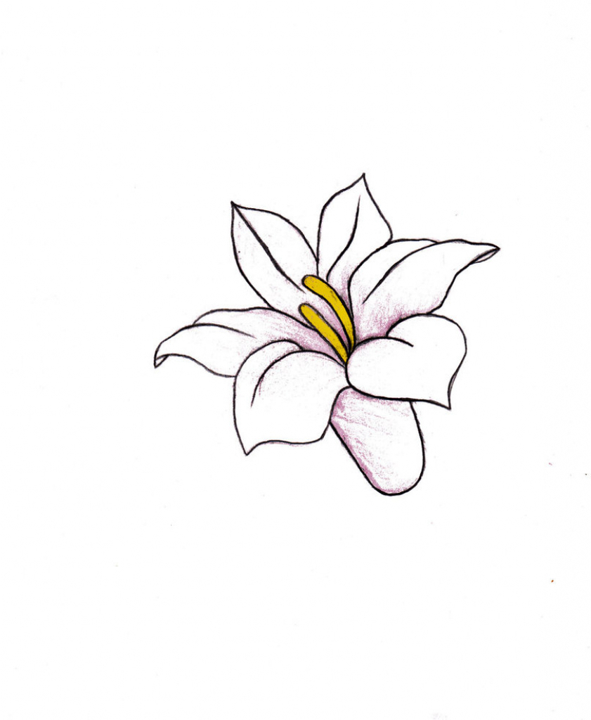 841x1024 Small Flower Drawing And Drawing Small Flowers Small Flower - Small Drawings